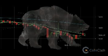 Kitörés a google trendekben, de hol marad a Bitcoin árfolyam?